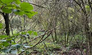 Terrain  7150 m² à vendre à Péronne (80200)