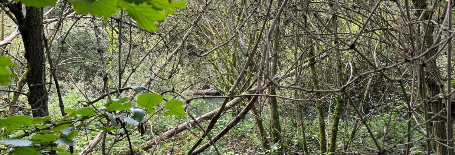 Terrain  7150 m² à vendre à Péronne (80200)