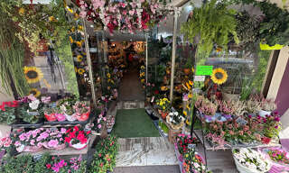 Commerce 2 Pièces 52 m² à vendre à Cagnes-sur-Mer (06800)