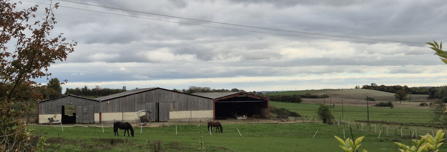 Maison 1 Pièce 2112 m² à vendre à Rethel (08300)