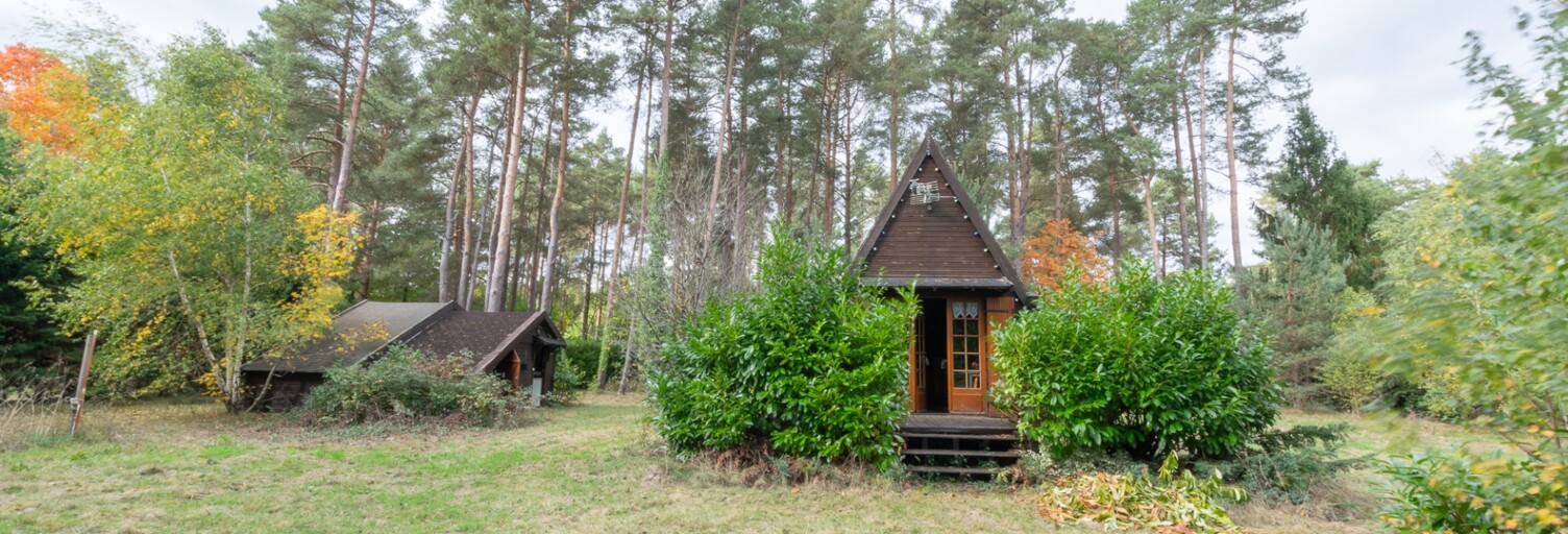 Maison 3 Pièces 54 m² à vendre à Ouzouer-sur-Loire (45570)