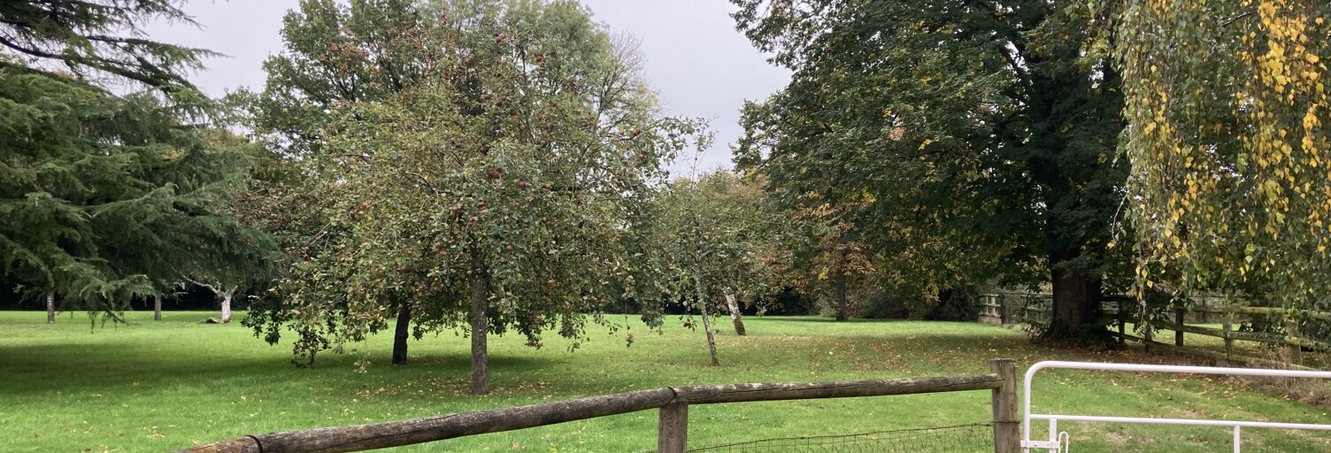 Maison 5 Pièces 142 m² à vendre à Gouffern en Auge (61310)