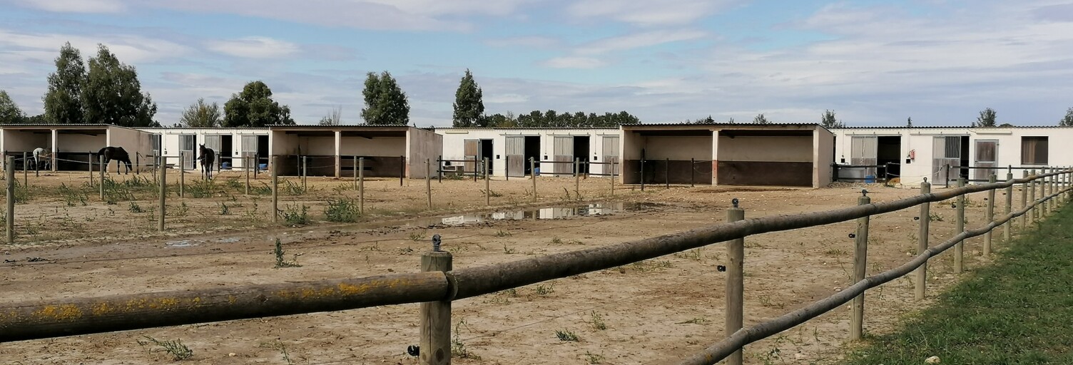 Maison 1 Pièce 160 m² à vendre à Beaucaire (30300)