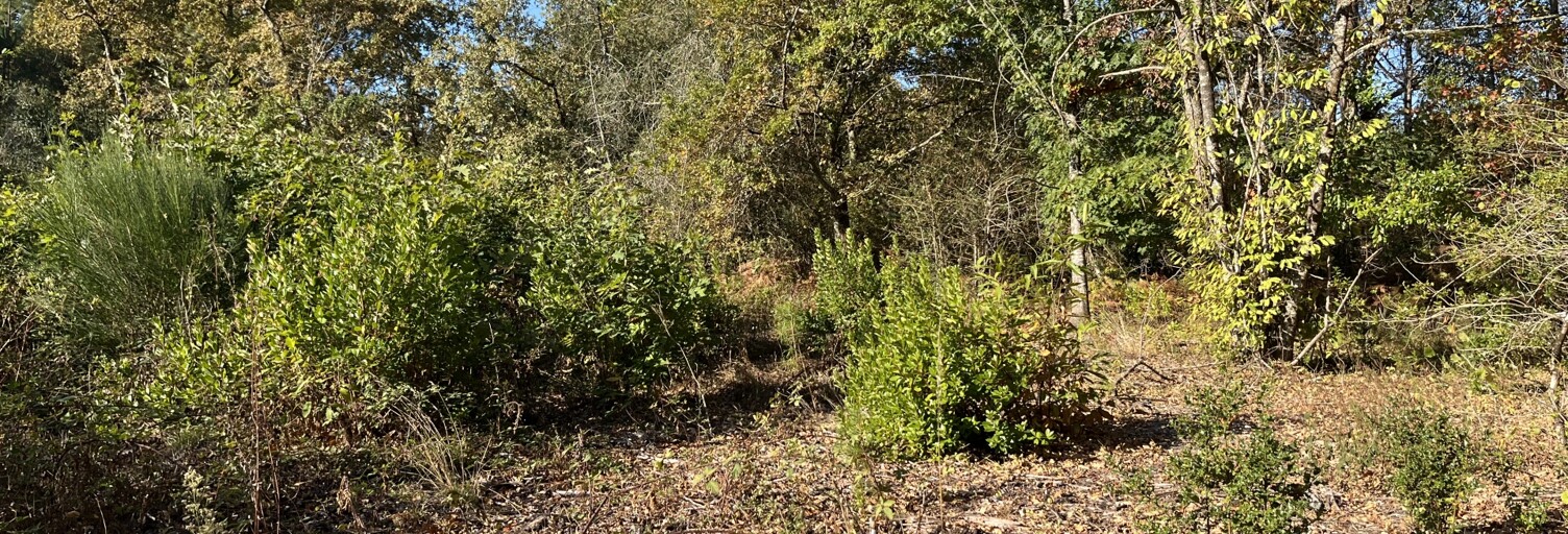 Terrain  825 m² à vendre à La Brède (33650)