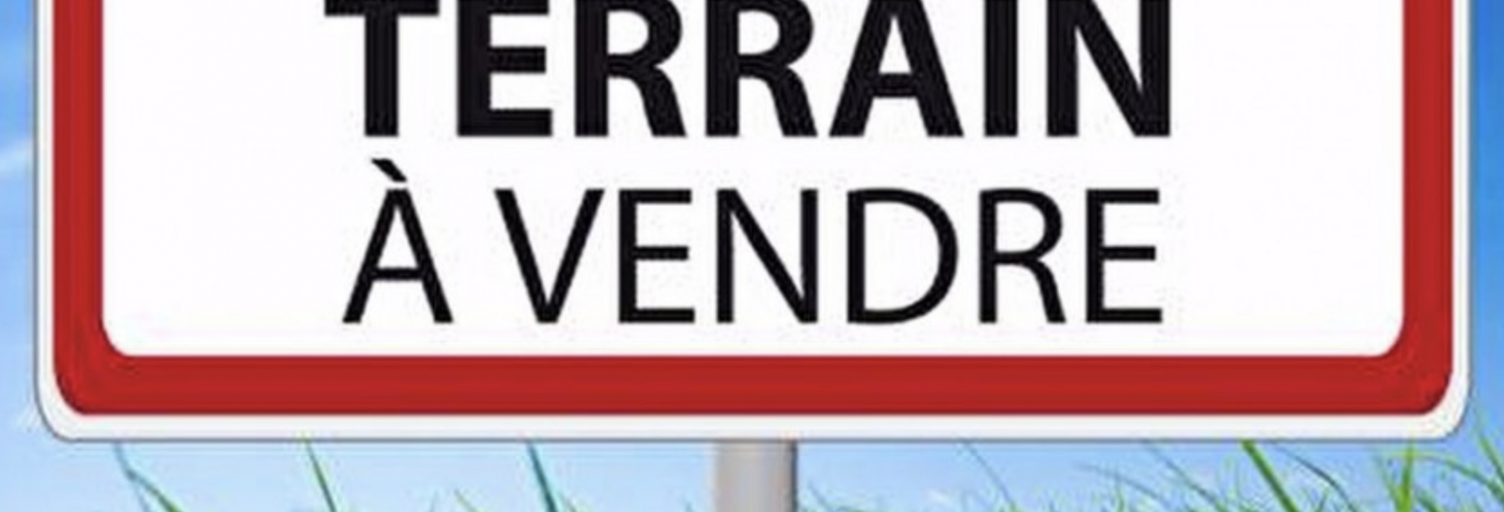 Terrain  1000 m² à vendre à Quiberon (56170)