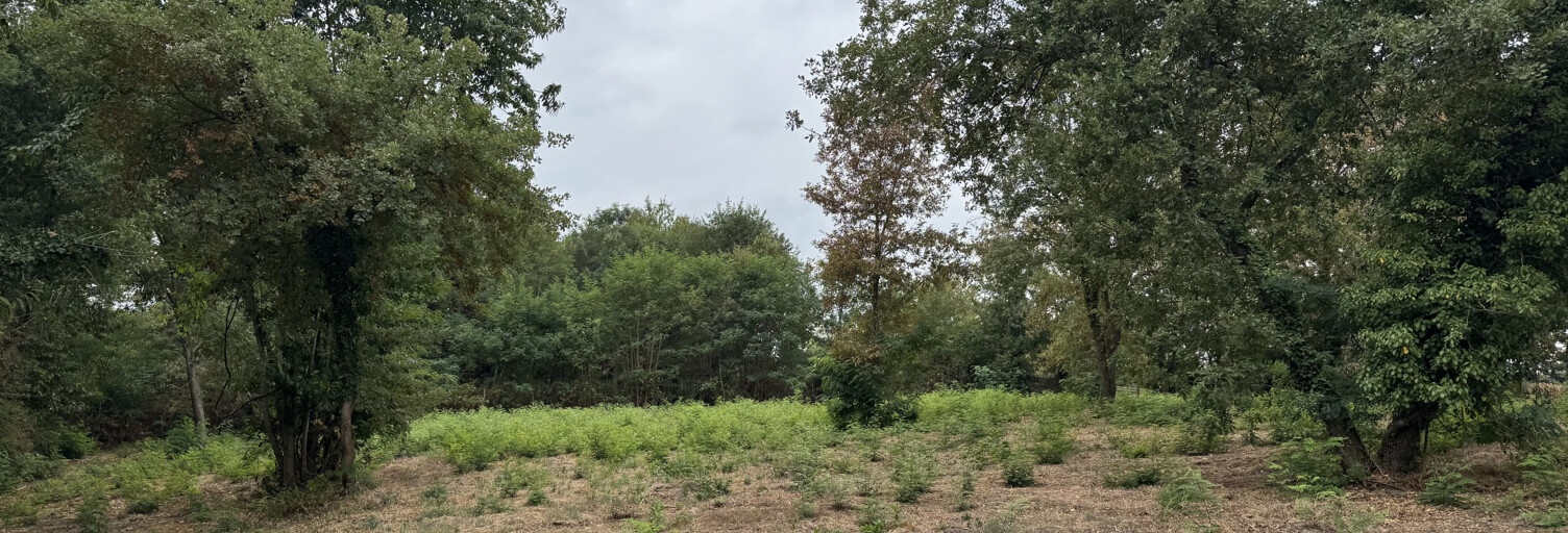 Terrain  6200 m² à vendre à Damazan (47160)