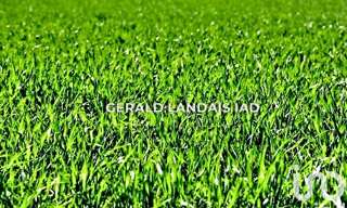 Terrain  1610 m² à vendre à Montgiscard (31450)