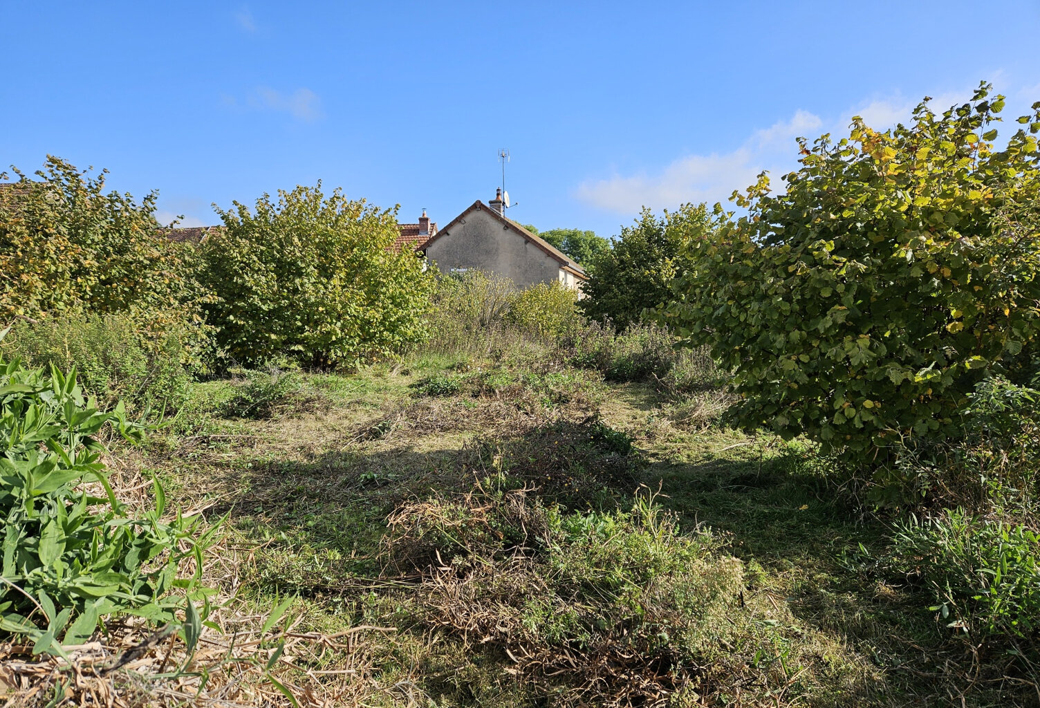 Terrain constructible pour petite maison ou Tiny House — photo 1