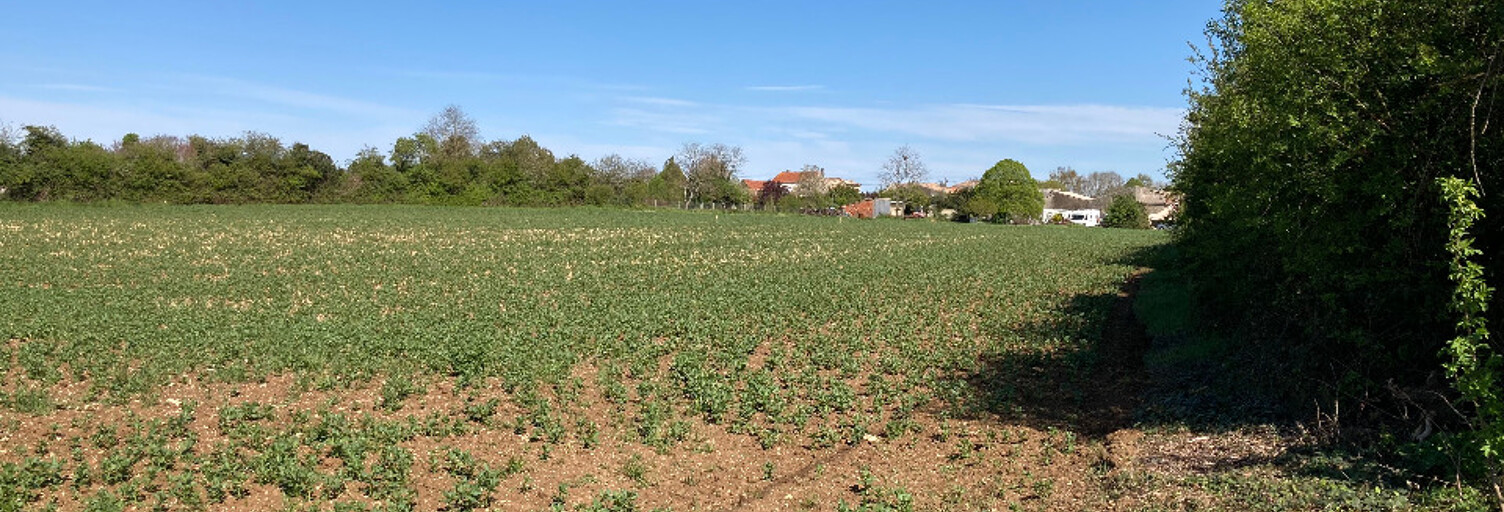 Terrain  2247 m² à vendre à Champagnolles (17240)