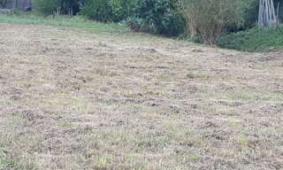 Terrain  1200 m² à vendre à Saint-Romain-la-Virvée (33240)