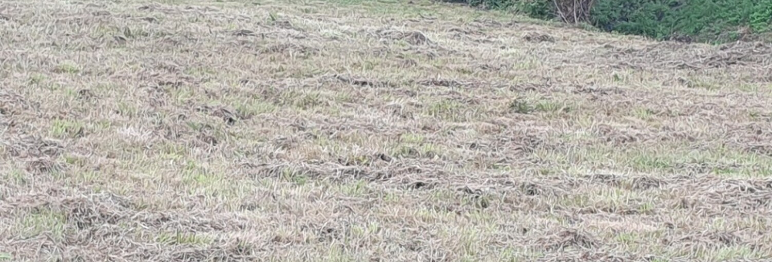 Terrain  1200 m² à vendre à Saint-Romain-la-Virvée (33240)