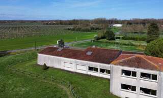 Photo N° 2