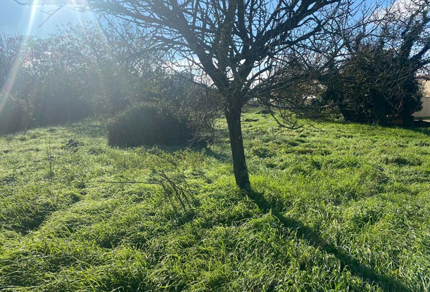Terrain Tonnay Charente 1200 m2 — photo 1