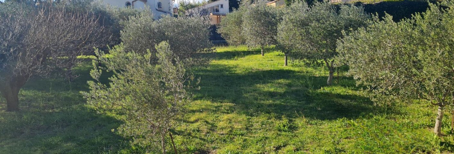 Terrain  900 m² à vendre à Pujaut (30131)