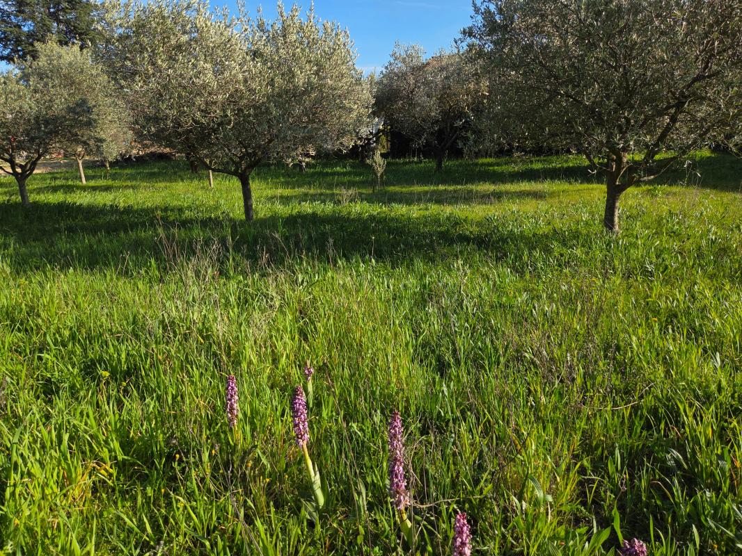 Agence immobilière de Pont du gard transactions Swixim