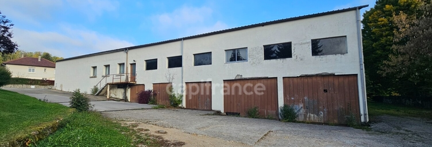 Local industriel 12 Pièces 1300 m² à vendre à Lons-le-Saunier (39000)