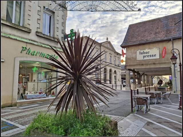 MAISON DE VILLE A RENOVER DE 69 M2 SUR MIRAMONT DE GUYENNE — photo du bien