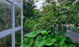 Appartement 3 Pièces 77 m² à louer à Rivière-Pilote (97211)