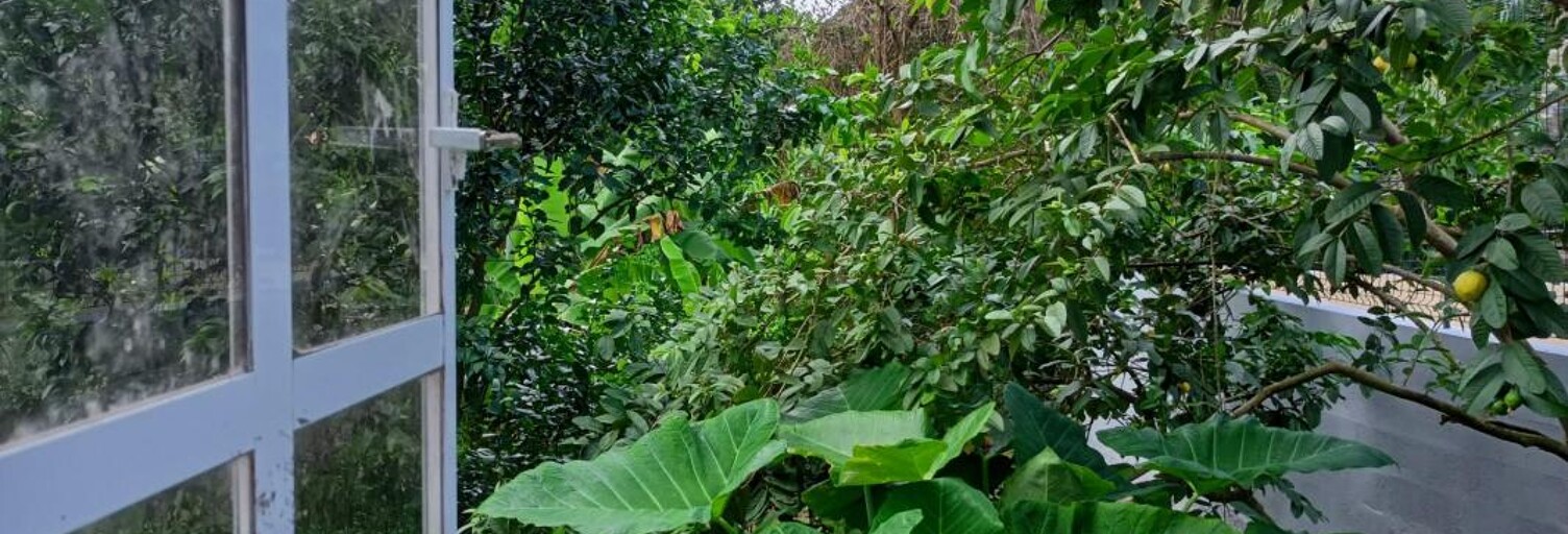 Appartement 3 Pièces 77 m² à louer à Rivière-Pilote (97211)