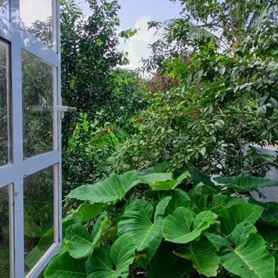 Appartement 3 pièces 850 €