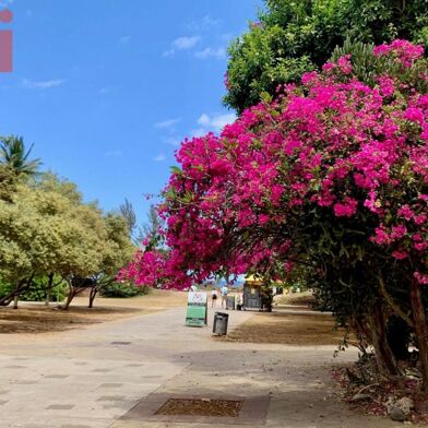 Commerce 3 pièces 682500 €