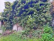 COMPROMIS SIGNE !!! Ensemble immobilière à réhabiliter 380m² de terrain — photo 3