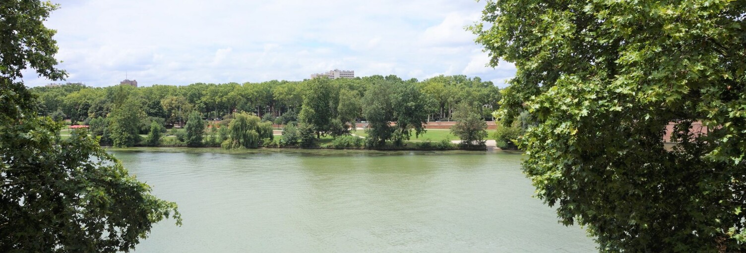 Appartement 2 Pièces 55 m² à louer à Toulouse (31000)