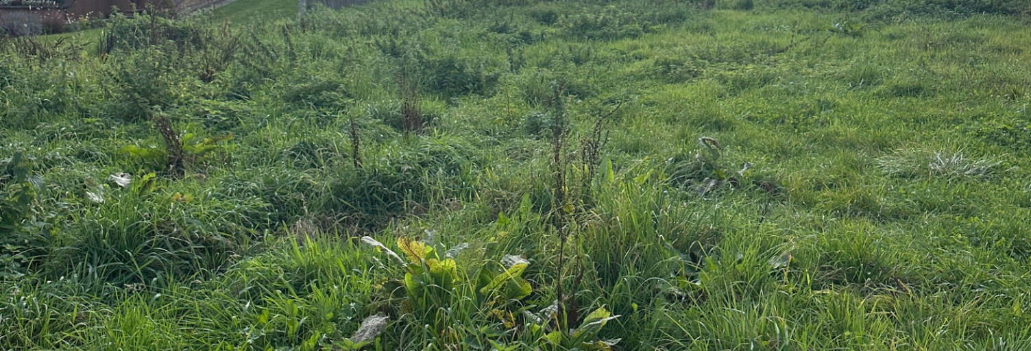 Terrain  1304 m² à vendre à Balschwiller (68210)