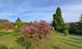 Terrain 727 m² à construire Pernes-les-Fontaines (84210)