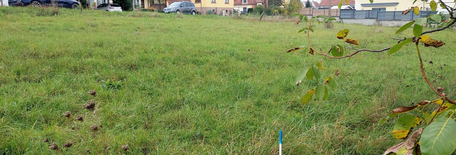 Terrain  563 m² à vendre à Westhoffen (67310)