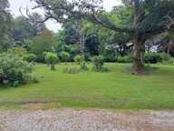 Ferme Landaise — photo 3