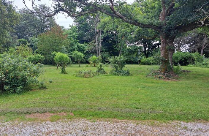 Ferme Landaise — photo 3