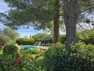 Maison St Rémy de Provence — photo 2