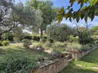 Maison St Rémy de Provence — photo 3