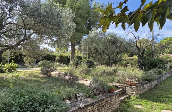 Maison St Rémy de Provence — photo 3
