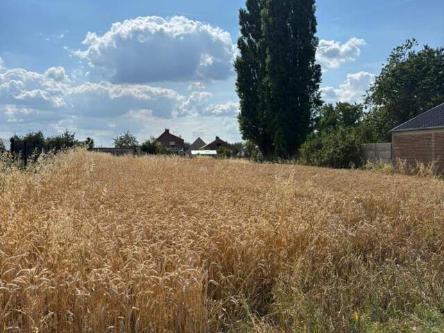 Terrain — photo du bien