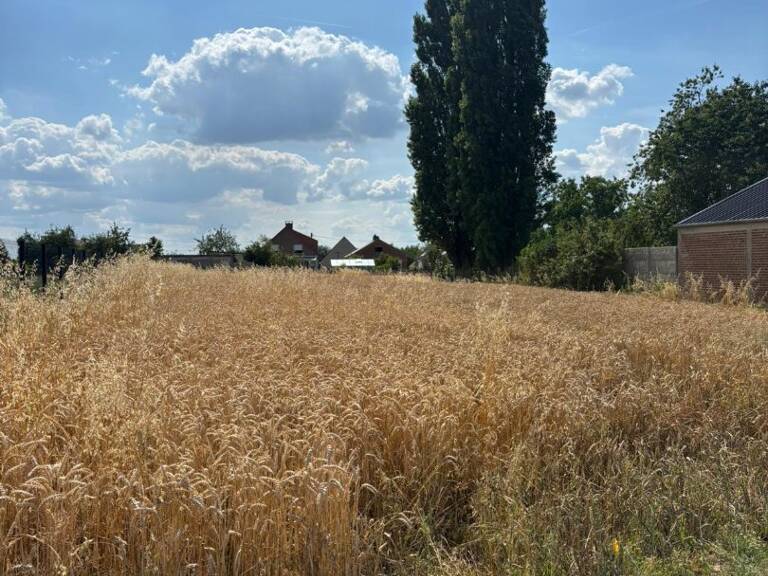 Terrain — photo 1