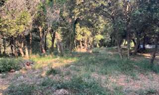 Terrain 1317 m² à construire Biot (06410)