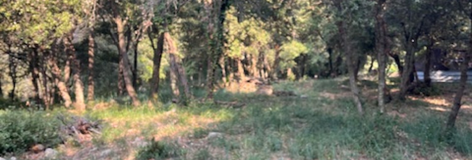 Terrain 1317 m² à construire Biot (06410)