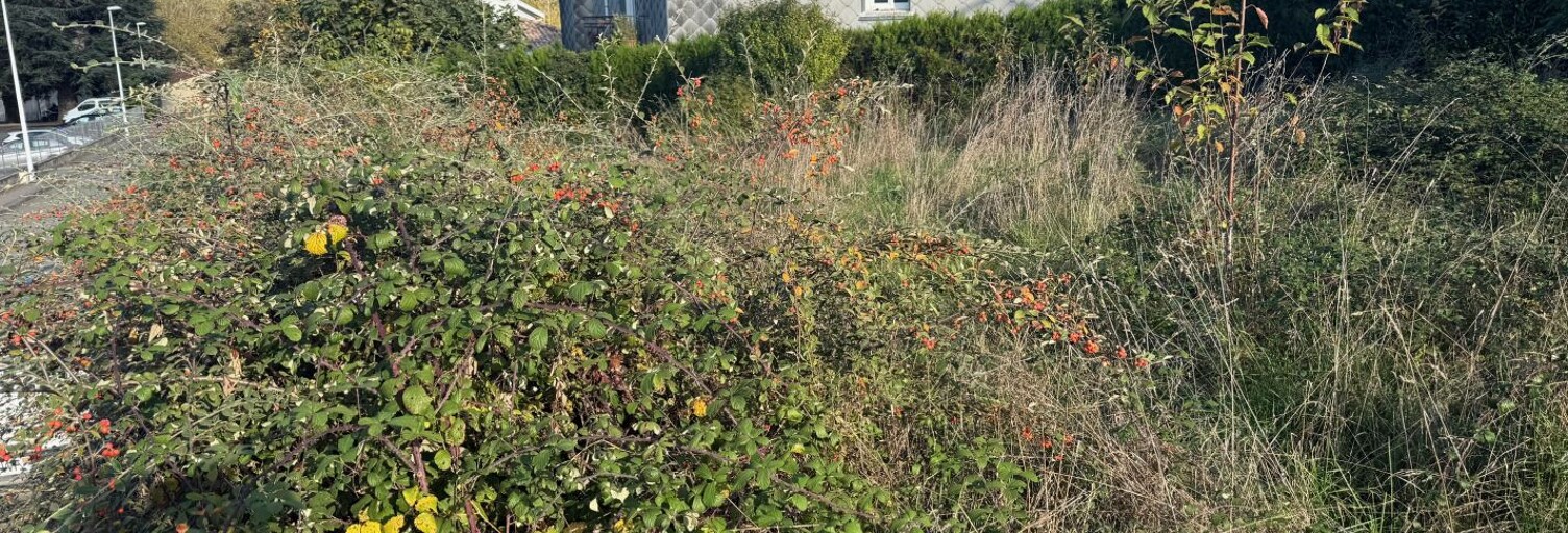 Terrain  1616 m² à vendre à Foix (09000)