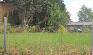 Terrain  567 m² à vendre à Rabastens (81800)