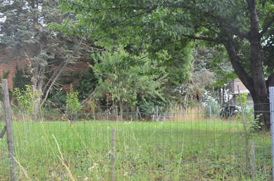 Terrain  59000 €