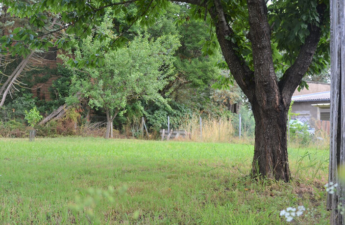 Terrain à bâtir  plat de 567 m2 dans un cadre arboré à 5 mn du centre ville de Rabastens — photo 2
