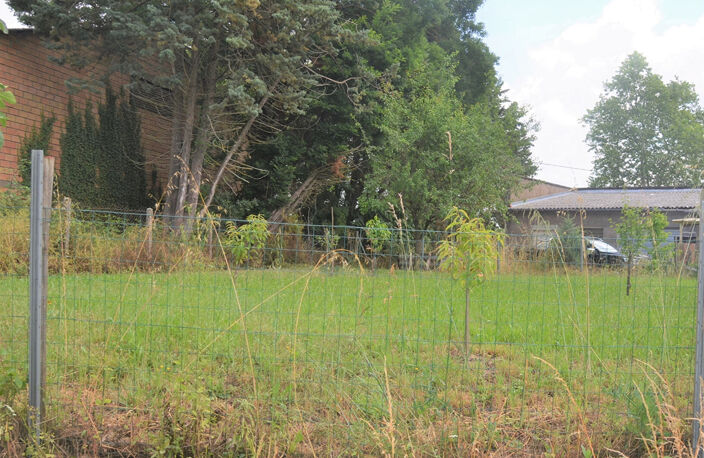 Terrain à bâtir  plat de 567 m2 dans un cadre arboré à 5 mn du centre ville de Rabastens — photo 3