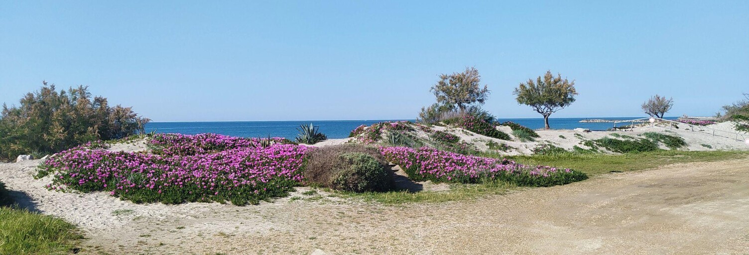 Appartement 3 Pièces 57 m² à vendre à Saintes-Maries-de-la-Mer (13460)