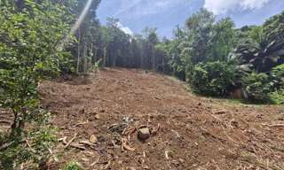 Terrain  1301 m² à vendre à Rivière-Salée (97215)