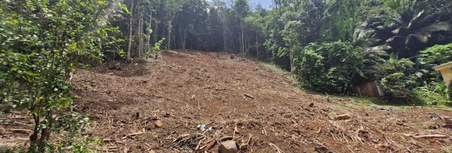 Terrain  1301 m² à vendre à Rivière-Salée (97215)