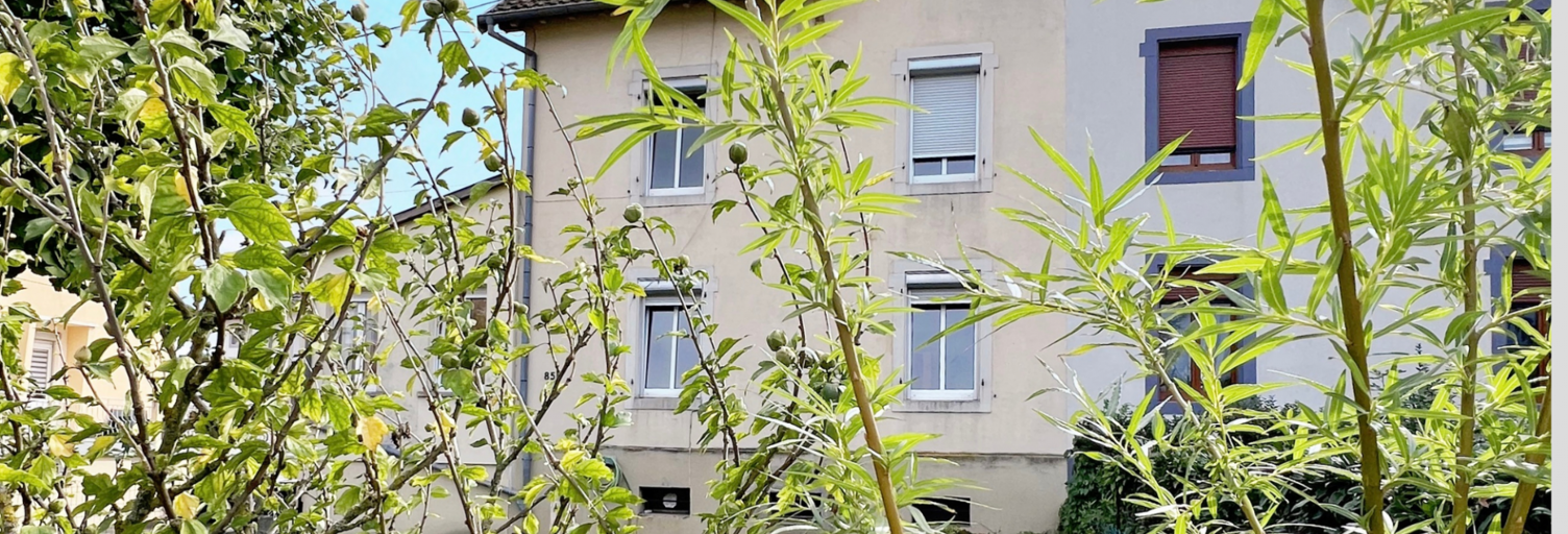 Maison 7 Pièces 141 m² à vendre à Issenheim (68500)