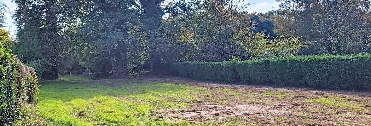 Terrain  1000 m² à vendre à Radenac (56500)