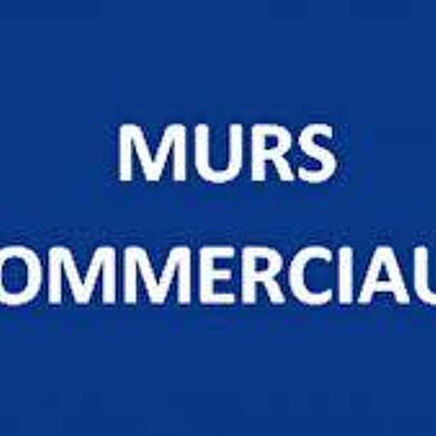 Commerce  371000 €